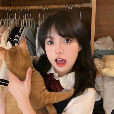 新猛龙过江