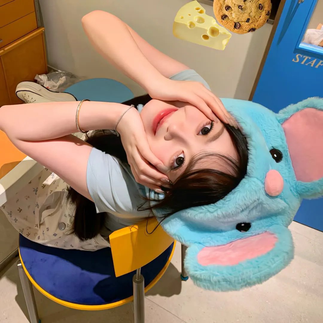 真情玫瑰